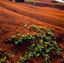 《合金装备Δ 食蛇者》或被延期至明年 十天内有消息